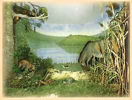Seelandschaft (Meteorkratermuseum)